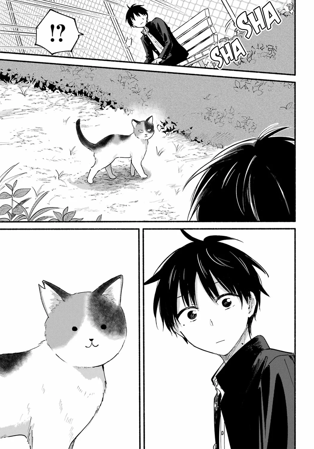 Read Tonari no Neko to Koi Shirazu Manga Online