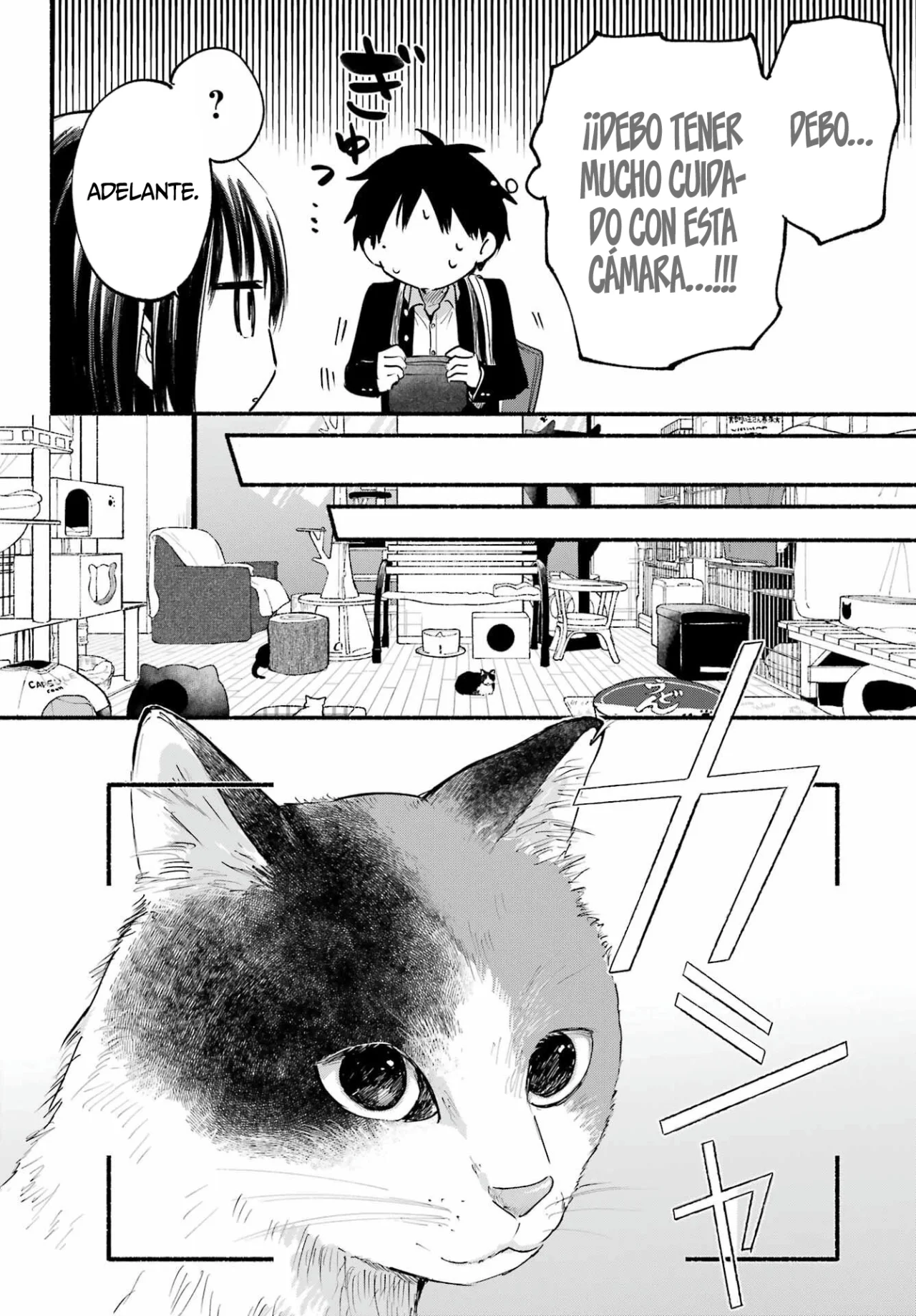 Read Tonari no Neko to Koi Shirazu Manga Online